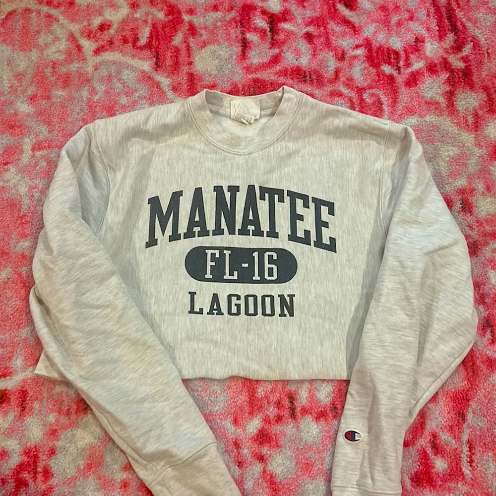 champion reverse weave cute cropped hoodie!